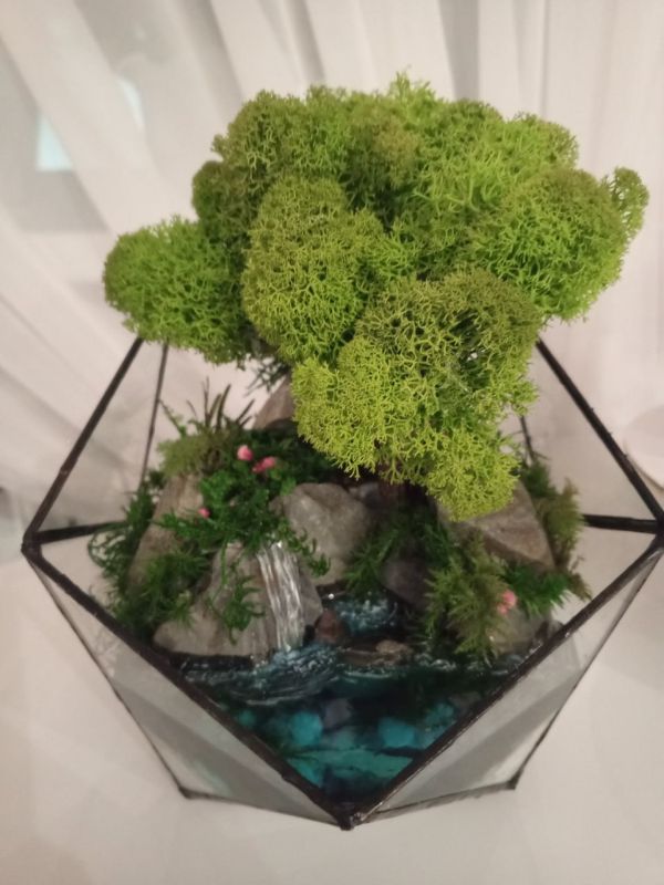 ��� ��� �������: ��������� ��������� ����� ������� ������ ���������� ������� � �������