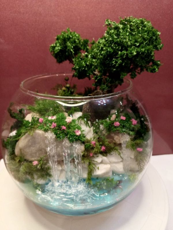 ��� ��� �������: ��������� ��������� ����� ������� ������ ���������� ������� � �������