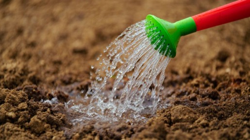 ��������� � �������: ��� ������ � �������� ������������ ������ ������