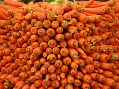 ��� ������ ������� ������� �������: ������ ������ �� ������