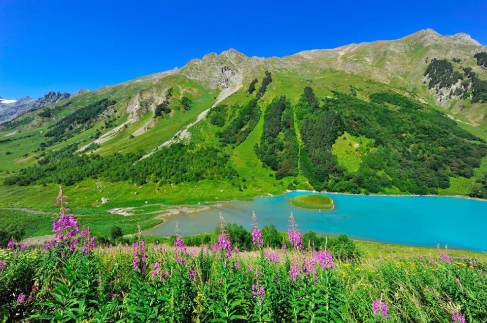 � ���� ����� �������� � ������ ��� ����� ��� �����