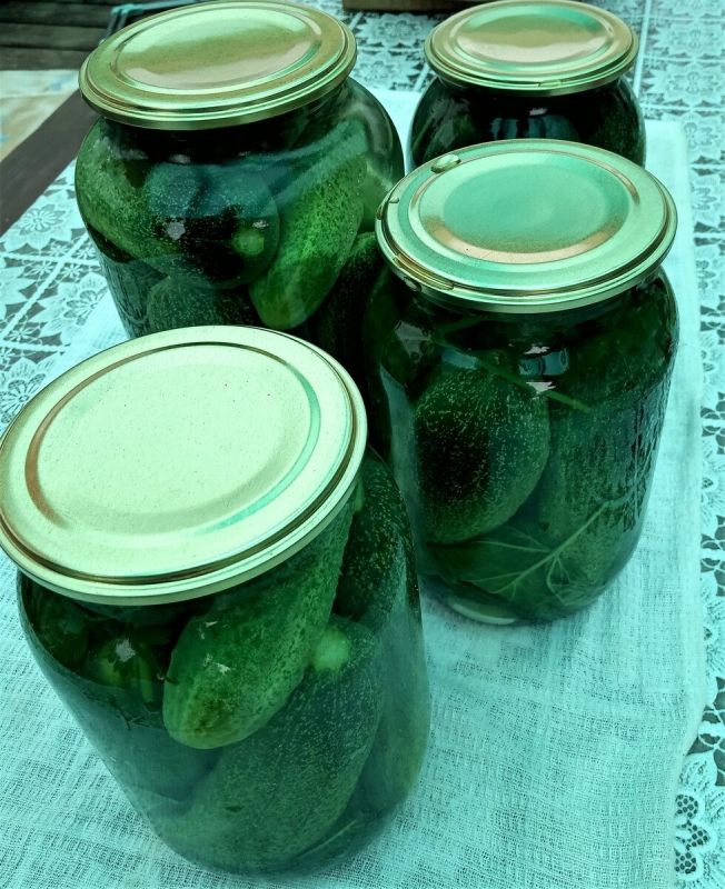 ������� ������ �� ����: ������� � ������������ ������