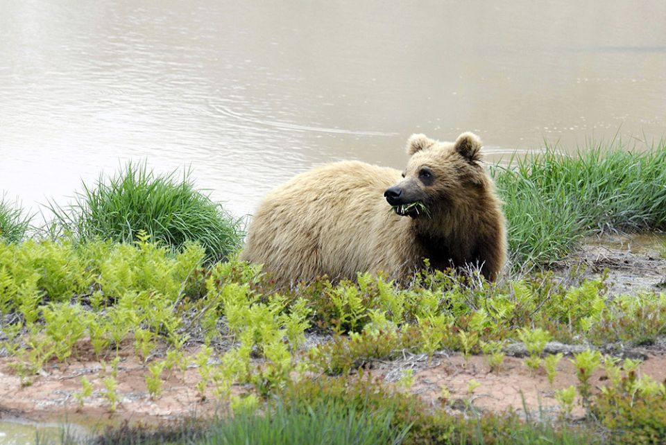 � ������ ��������� ��������� ������ ��� ������������ ���� ������������� �������� �������