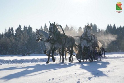 ������� �� �������� ����� ��������, ��� ��� 7 ������� ������� ������� ������� ��������� �������� ������, ����� ������!