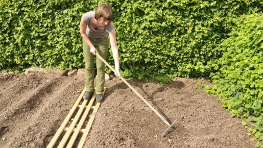 ����� ������ ������ �� ����� ������������ ������: ��� ��� ����� ������� � ������