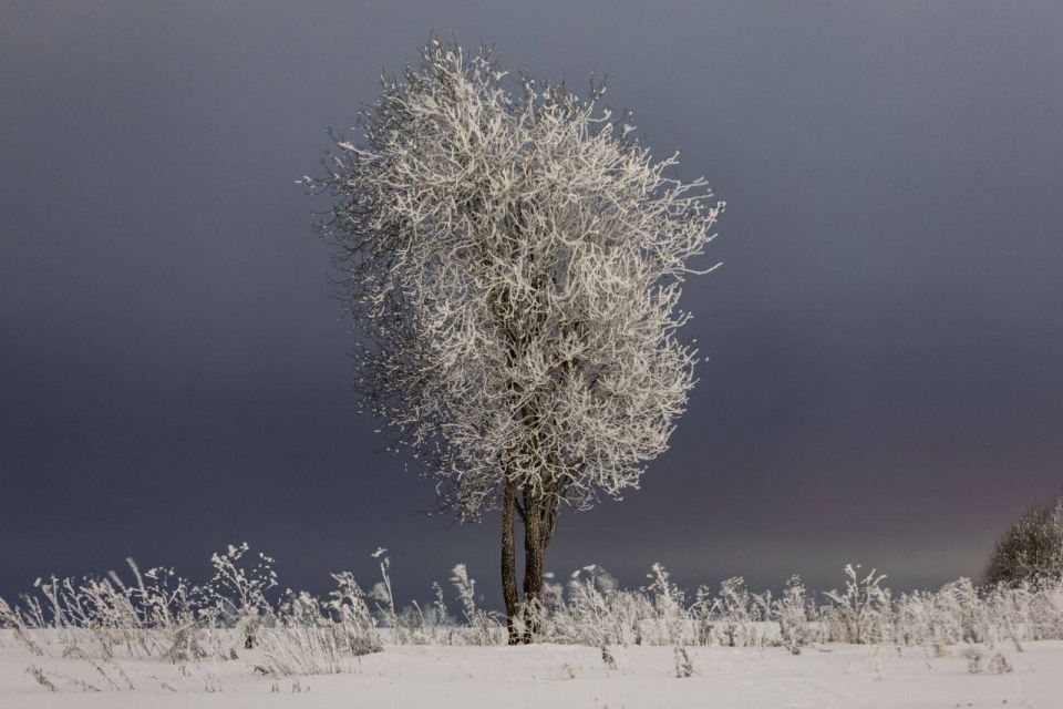 ���� -12� -17�, ������� ��������� ����