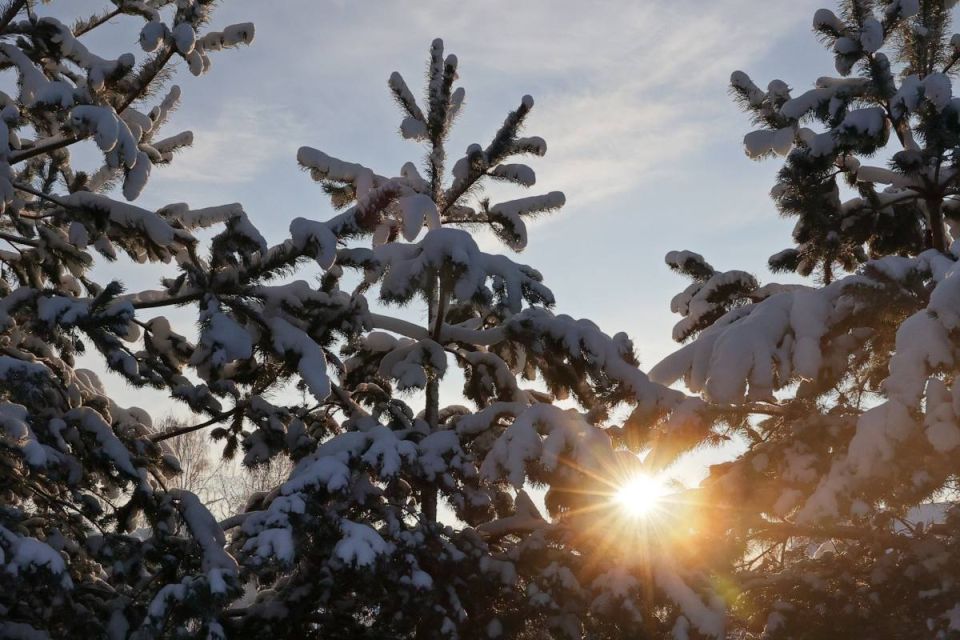 �� ������� � ��������: � �������� � ����������� ������� ��������� �� ����