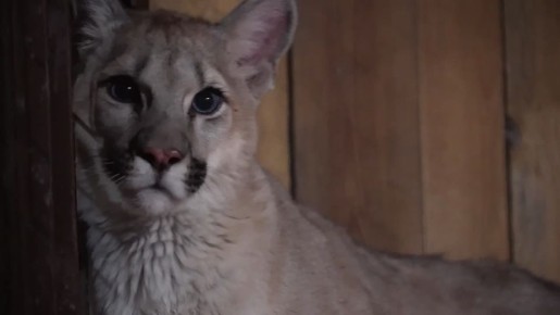 ������� � ������ ������ ���� ����� ����� � ������� ���� ������ � ������� ������