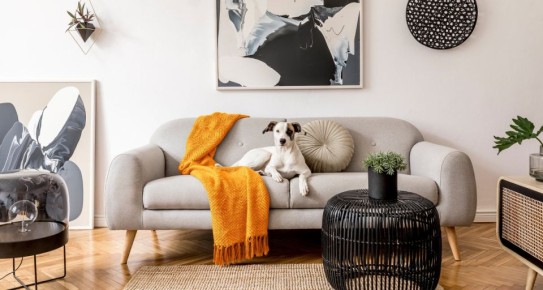 ��� �� ��������� � ��������� ������� ��� ������� �����? ������� � ��������� ������