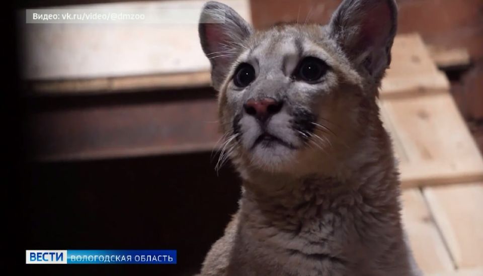 ����� ������: �������� ���� ����������� � ��������������� �������