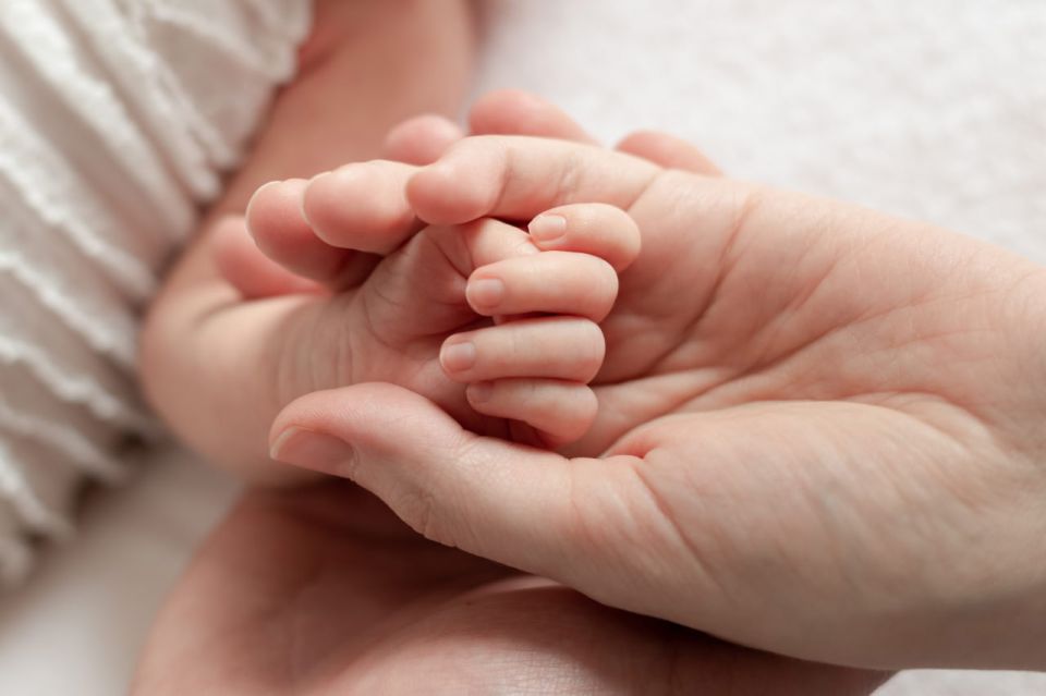 ����������� ������� ������� 1 ���� ������ �� ����������� � �������