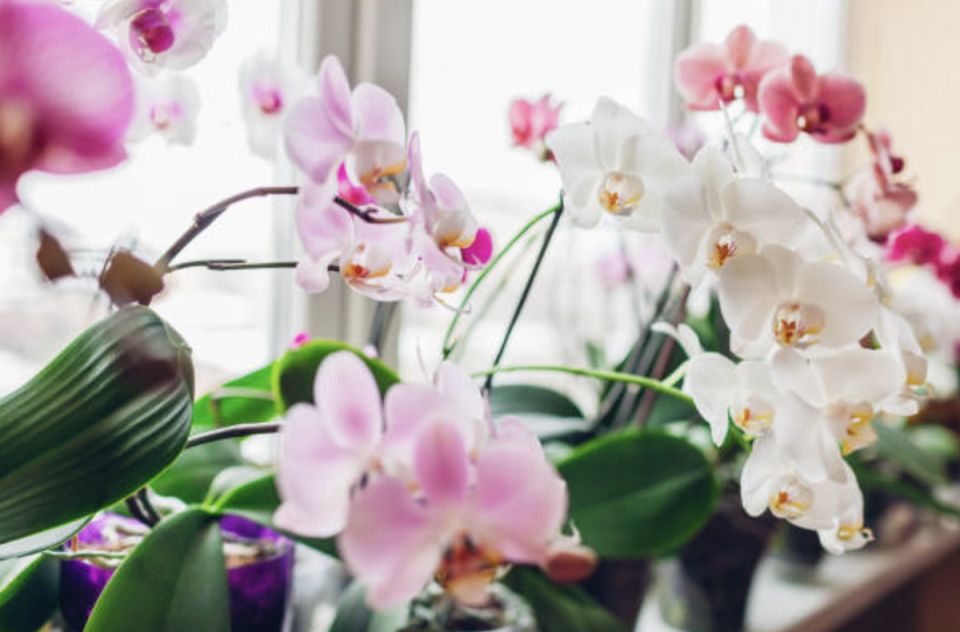 ������� ��������� ����� �� ��������� � �������������� ��������