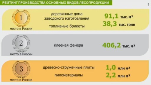 Министр лесного комплекса Евгений Агулов сообщил о результатах региона в рейтинге производства лесопродукции (по данным Росстата):