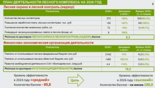 В 2026 году продолжится реализация нацпроекта по сохранению лесов