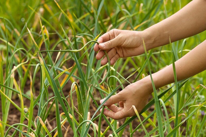 ��� ��������� �������� ��������� ������� � ������ ��� ��������