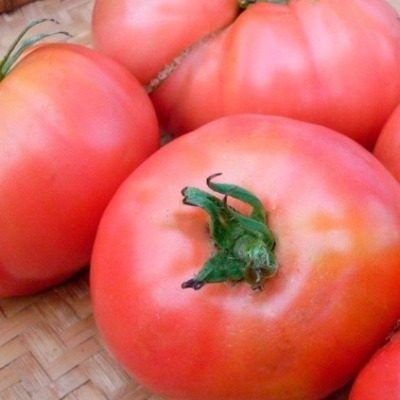 ����� ������� ���: ���������� ������� ������ ��� �������