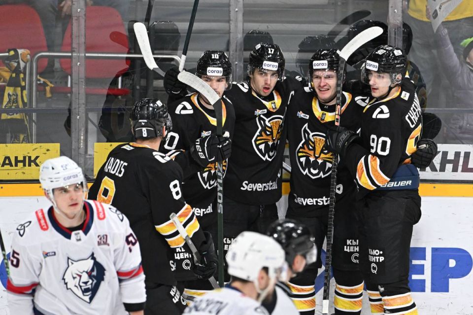 Череповецкая «Северсталь» обыграла «Нефтехимик» и досрочно вышла в плей-офф