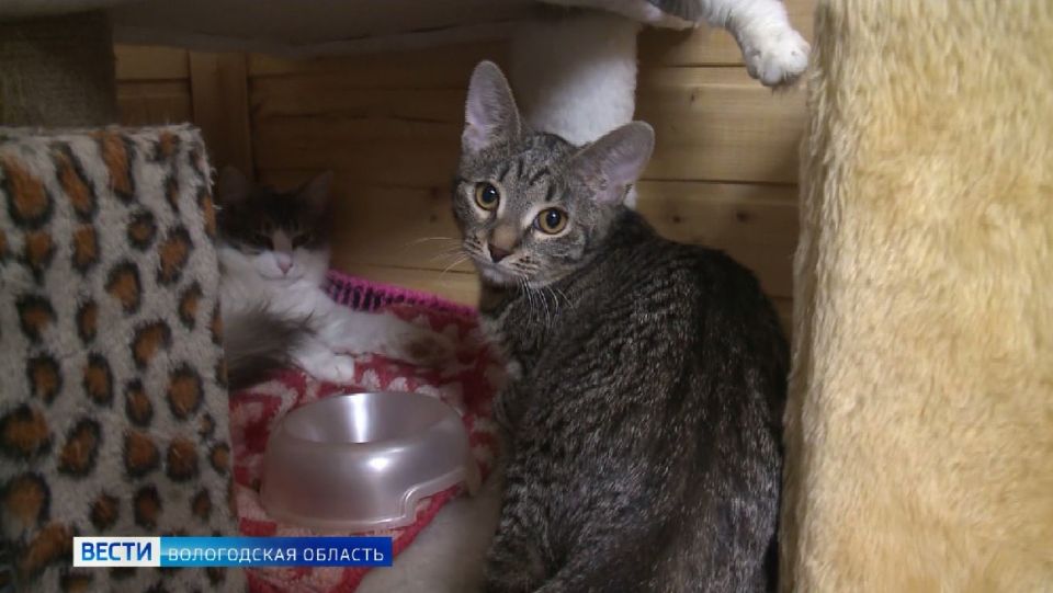 ��������� �������� ��������� �������� ������� ������� ������