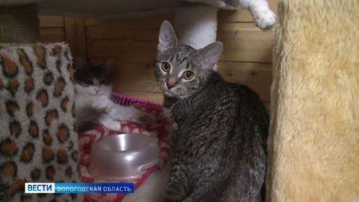 ��������� �������� ��������� �������� ������� ������� ������