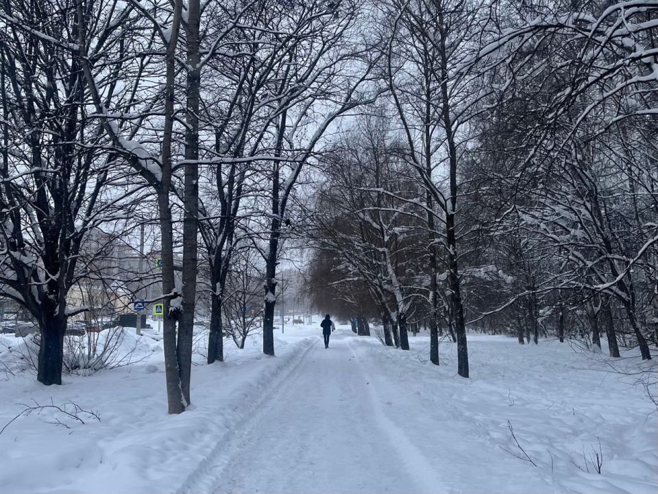 �������� ������ �������� ������� � ���������� � ����������� �������