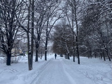 �������� ������ �������� ������� � ���������� � ����������� �������