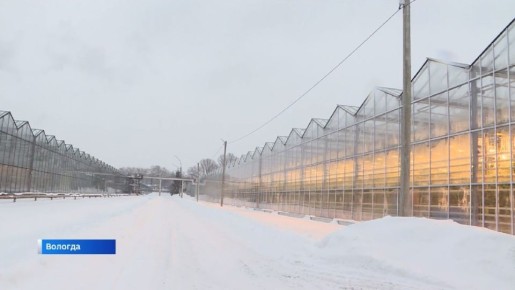 ����������� ������: ��� ���������� ������ �� ����������� ��������� ����������