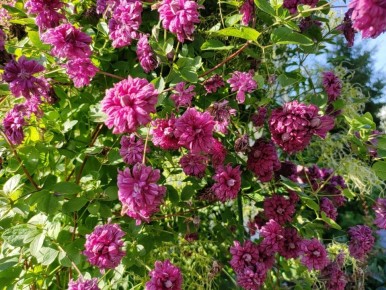 ���������� � ����: ������� ������� ���������� ��� �������� � ��������