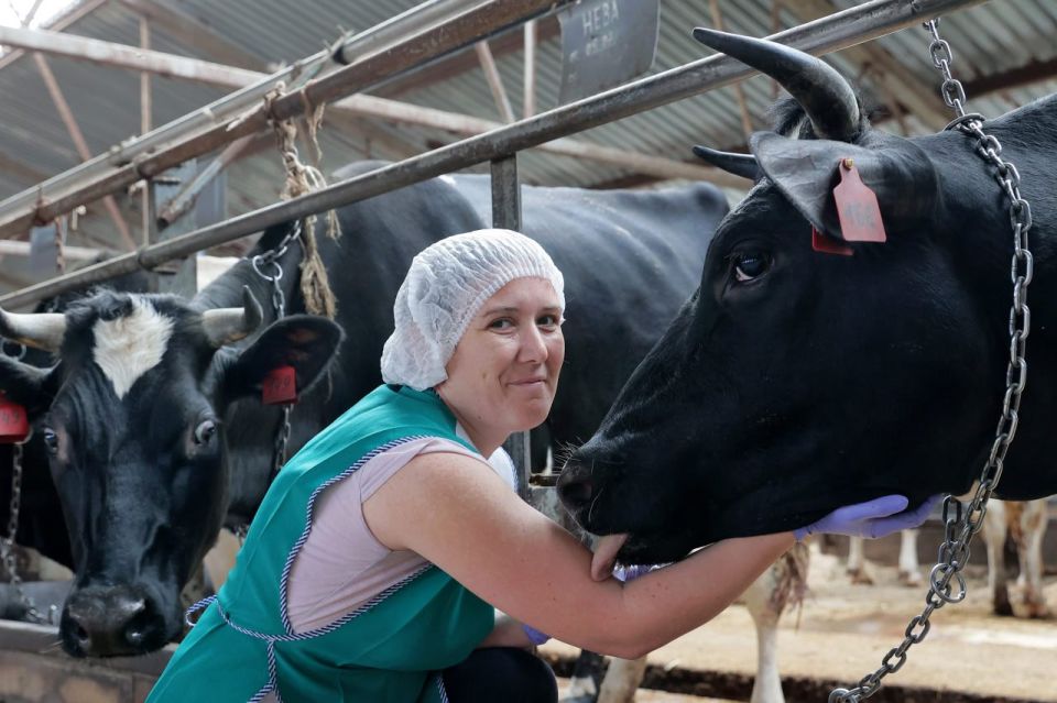 ��������������������������� �����������, ������������ �� �������� ���������, ��������� 13,7 �������� ������