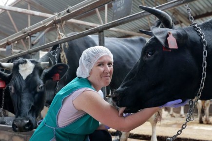 ��������������������������� �����������, ������������ �� �������� ���������, ��������� 13,7 �������� ������