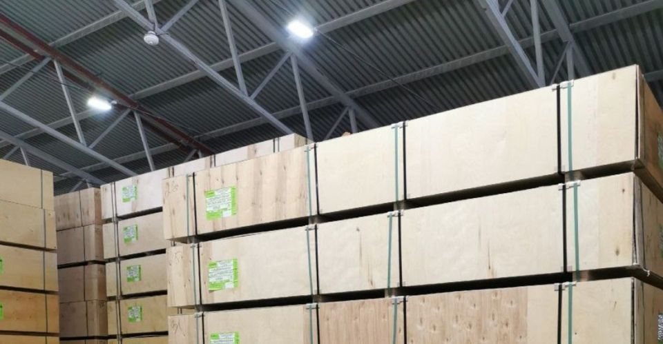 Свыше 5 тысяч кубометров лесопродукции отправила Вологодская область в Индию