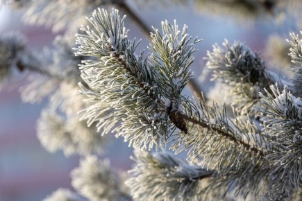 ���� �� ������� -7� -12�, ��������������� ��� �������