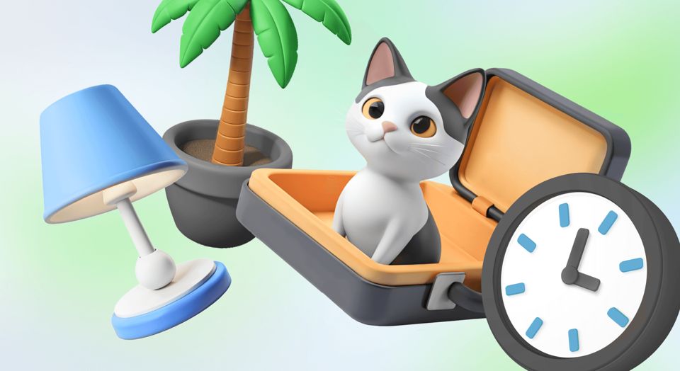 ��� ���� � �������� ������ ������ �� ���� ������������