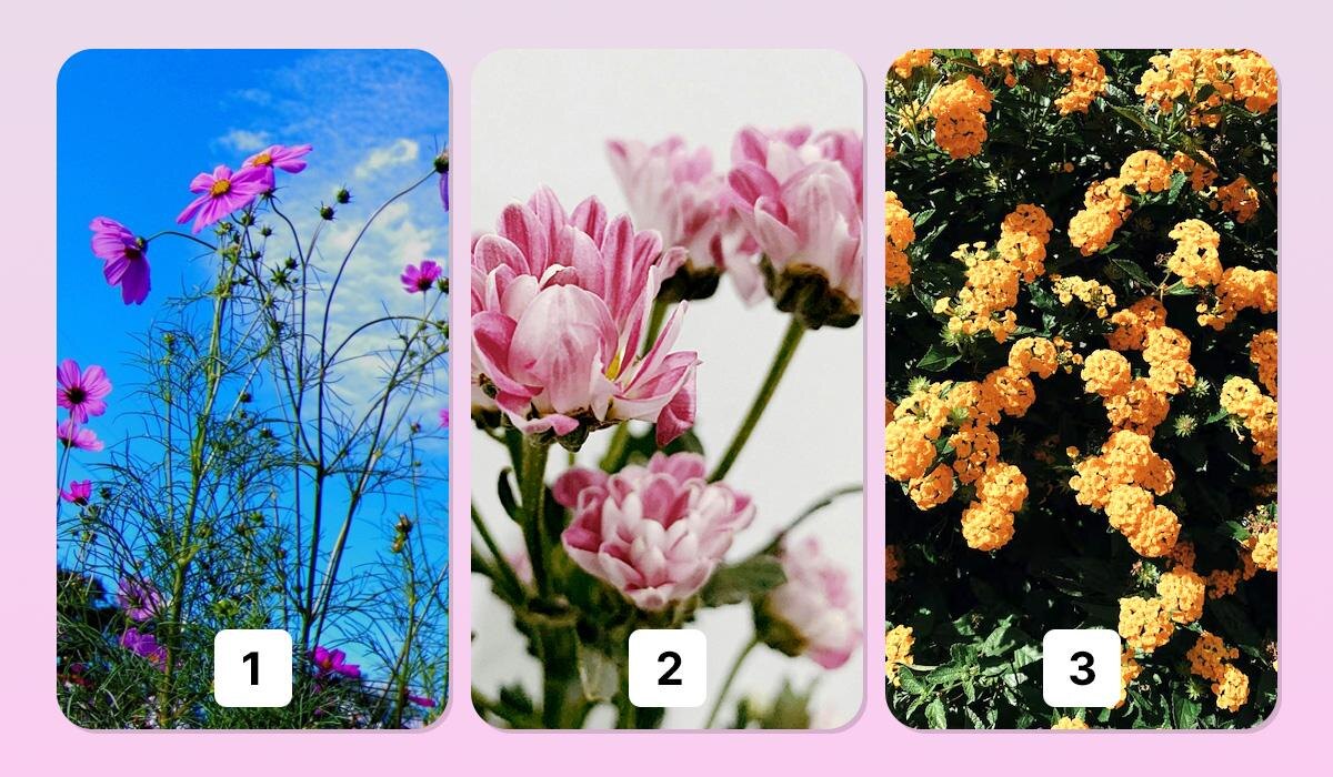 Как цветок способен раскрыть ваши тайные таланты