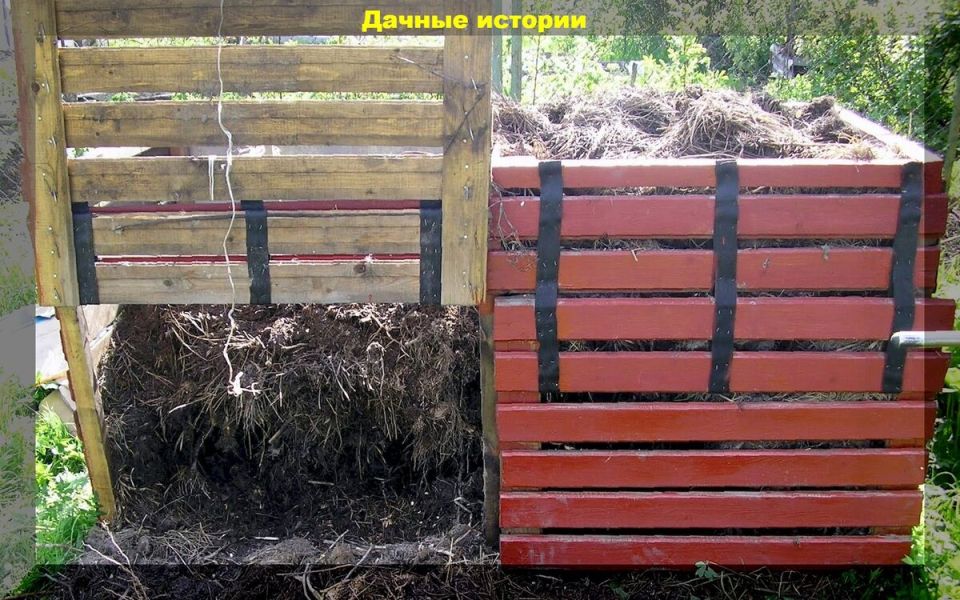 Как правильно компостировать и получать бесплатное удобрение