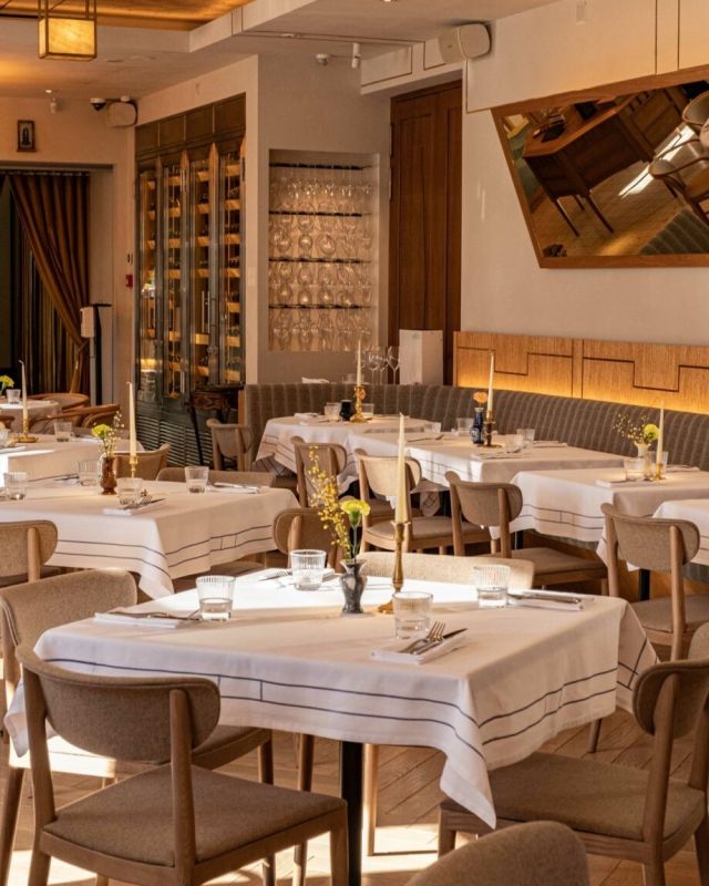 �������� Niki ������������ ���� ���������� ������ ���