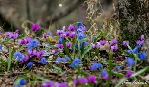 ����� � ������: ����� ����������, �������� � �������� �����