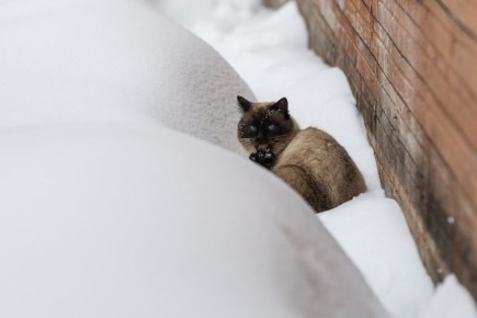 ���� -5� -10�, ���������, ������� ��������� ����