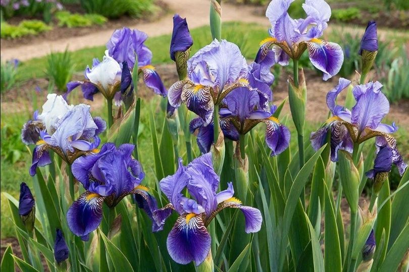 ������� ��������� �������� ��������� ������: ��������� ������ ��� ���������