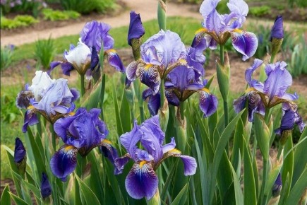 ������� ��������� �������� ��������� ������: ��������� ������ ��� ���������