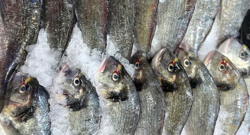 Эксперт предсказывает стремительный рост цен на рыбу в 2026 году