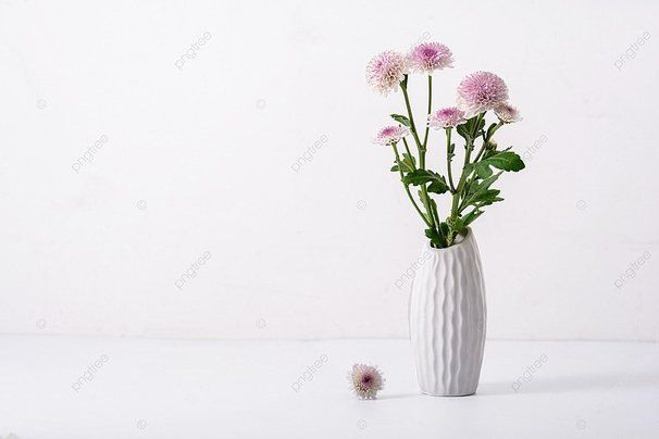 ���������� ��� ���� � ��������: ��� ��������� ����� � ����� ����