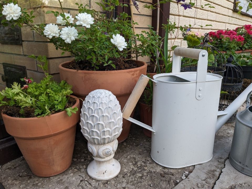 ������������ ������: ��� �������� ������ ����� �������� �����