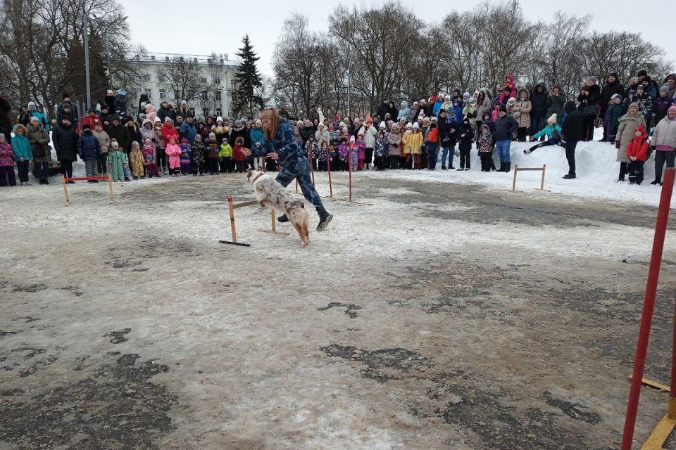 ��� ������� ������� ���� ��������� ���������: ��������� ���������