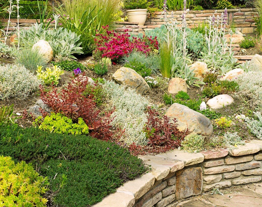 Создание рокария: Как гармонично обыграть камни и растения в саду