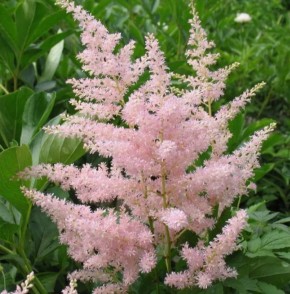 ������ �������������: ��� ������� ��������� ������ ��� ������ ������