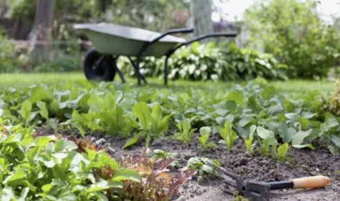 ������ � ������������ ����������, ��������� ������