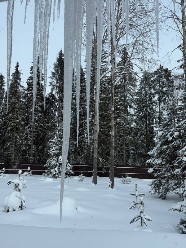 ���������� ����������� ������� ������� ���������� �������� ����� �� ����� � �������