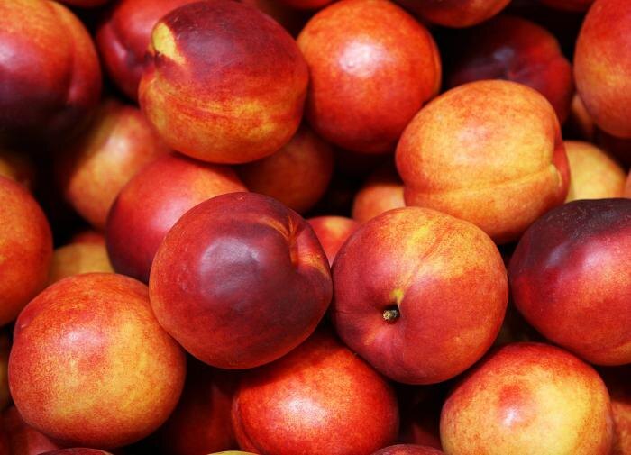 Как вырастить нектарин из косточки: секреты для начинающих садоводов