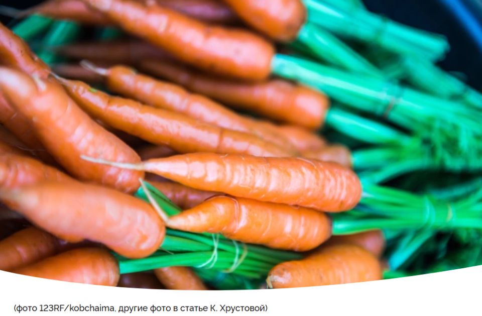 ����� ������� ��� ������� ��������: ������ ��� ���������� �����������