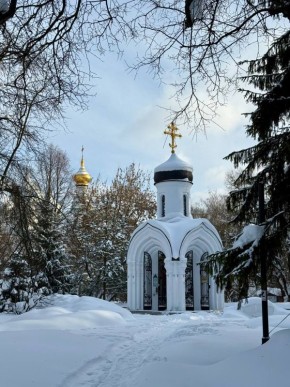 ���� -6� -8�, ��������������� ��� �������